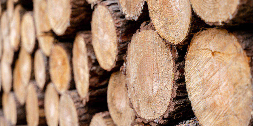 Holzstapel, © iStock.